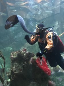 Seattle attractions