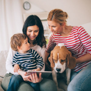 Dog-friendly The Orlando Hotel