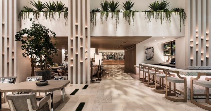 Dream Hotel
