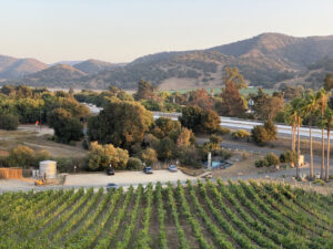 skyview los alamos vineyard