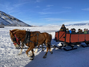 National Elk Refuge