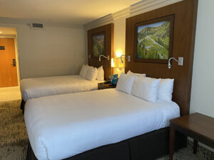 Snowbird guest room