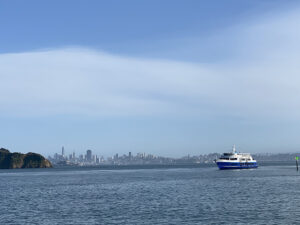 The Lodge at Tiburon view