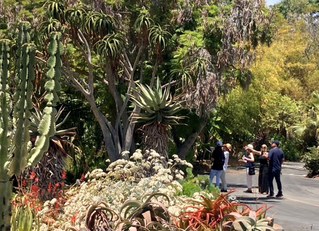 San Diego Botanic Garden