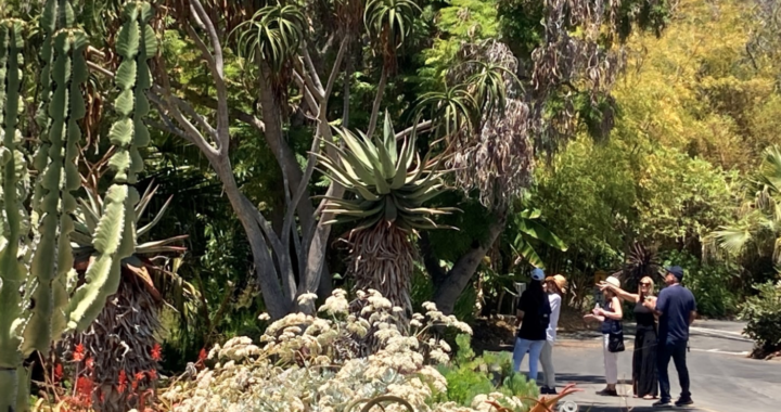 San Diego Botanic Garden