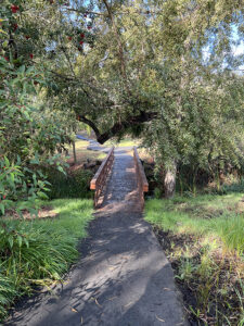 Rancho Valencia hiking