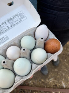 eggs at Rancho Valencia garden